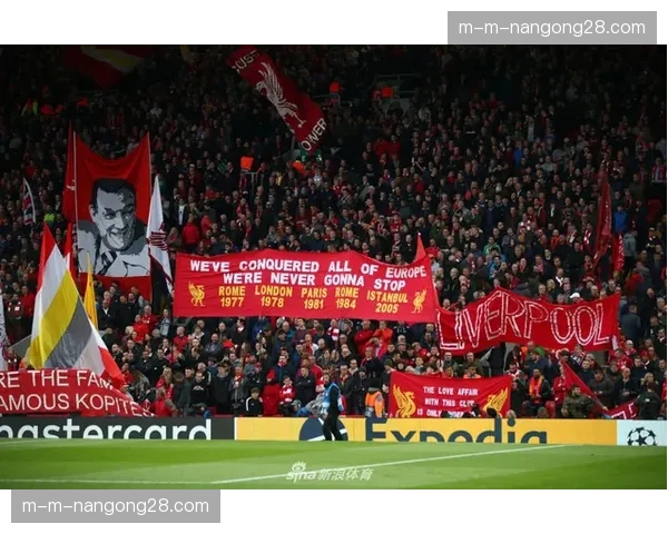 通讯:从濒临降级到冲击欧战,波鸿队一个赛季的奇迹之旅